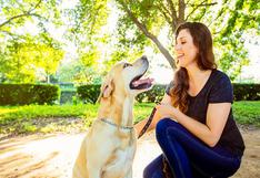4 consejos prácticos para que tu perro esté saludable en verano 
