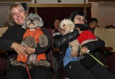 El primer cine para perros de Sudamérica abrió en Argentina: ¿qué película emitió en su inauguración?