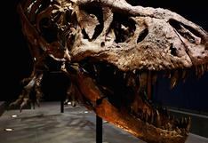 Hallan yacimiento de huesos fósiles de dinosaurio en España