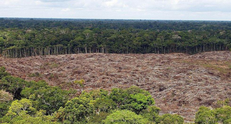 La Amazonía es la mayor selva tropical del mundo. (Foto: EFE) 