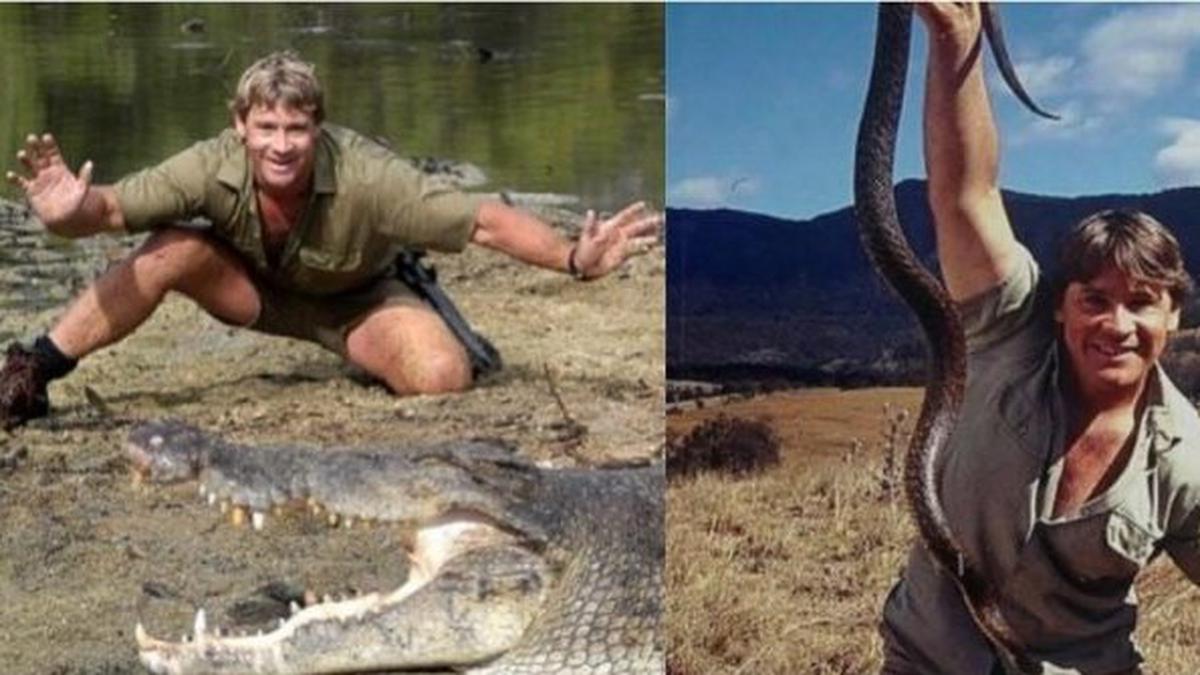 Steve Irwin: las últimas palabras del Cazador de Cocodrilos antes de morir  hace 15 años | Australia | Animal Planet | MUNDO | EL COMERCIO PERÚ