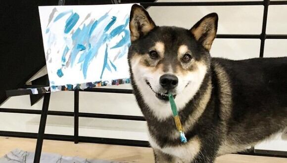 Hunter ha llamado la atención por realizar pinturas y luego venderlas. (Foto: @shiba.art.online / Instagram)