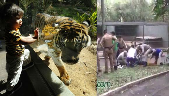 Tigre le arranca el brazo a un niño en zoológico de Brasil