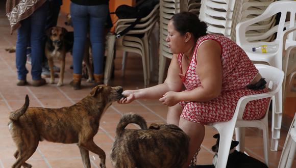 Ana Cristina Martínez juega con sus perros en Rosas (Cauca).