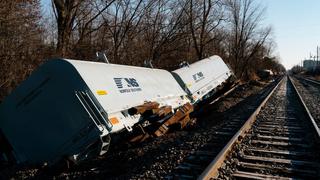 Cerca de 45.000 animales murieron por el derrame de químicos tras el descarrilamiento de un tren en Ohio