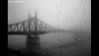 Fotógrafo captura 'ciudad apocalíptica' cubierta por niebla
