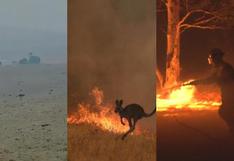 Australia comienza el año 2020 con voraces incendios | Video