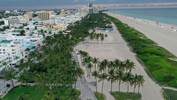 Las palmeras entre Ocean Drive y el mar, un clásico de Miami. (Foto: JOE RAEDLE - GETTY IMAGES NORTH AMERICA).