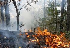 Perú: incendio en la selva que lleva 6 días quema 10.000 hectáreas