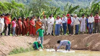 Comunidades del Vraem piden erradicación de cultivos ilegales de coca