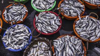 Pescado con mercurio aumentaría riesgo de tipo de esclerosis