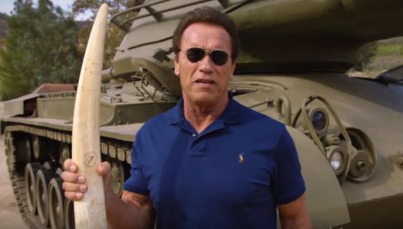 Schwarzenegger hace explotar un colmillo de elefante [VIDEO]