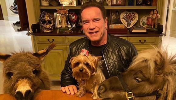 El actor de “Terminator” también se encuentra en cuarentena  (Foto: Instagram)