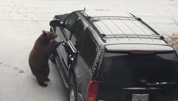 Un oso sorprendió a una familia al acercarse a su camioneta, abrir una de las puertas y subirse al volante. El video se hizo viral en YouTube | Foto: Captura de video / ViralHog