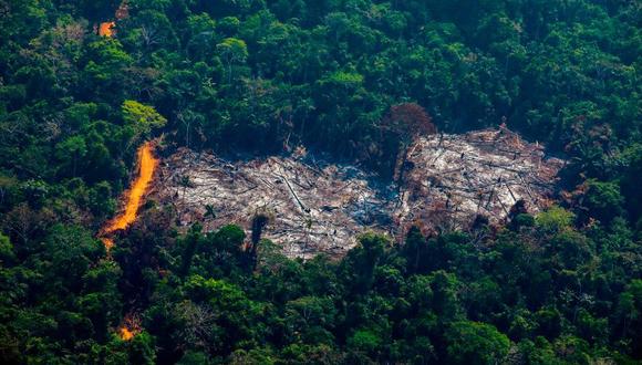 Lejos de lo que debió suceder en Perú con miras a cumplir sus compromisos ambientales del Acuerdo de París, la deforestación en la selva amazónica subió su promedio anual. En el 2020, durante la pandemia, se talaron más de 200 mil hectáreas de bosques.