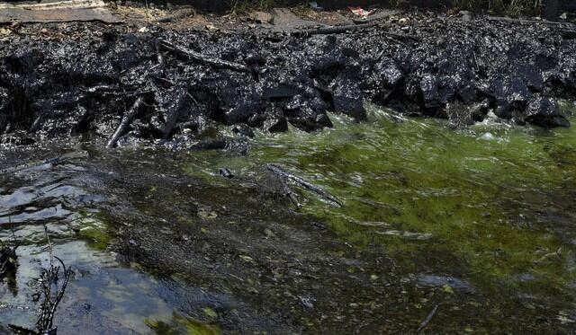 Las aguas del lago se han visto contaminadas con petróleo. (AFP)