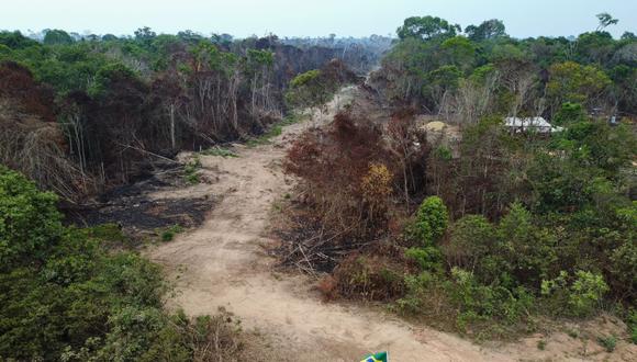 El ganado pasta entre el humo brumoso causado por los incendios a lo largo de la carretera BR-230 en Manicoré, estado de Amazonas, Brasil, el 22 de septiembre de 2022. (Foto de MICHAEL DANTAS / AFP)