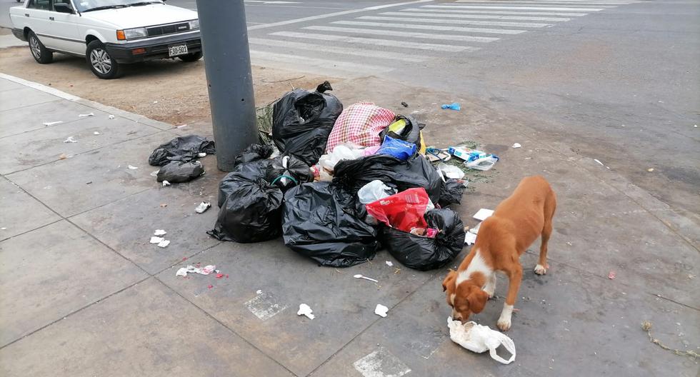 Las zonas colindantes a los mercados son de las más contaminadas por la falta de recojo de basura en el Callao. (Foto: corresponsales escolares)