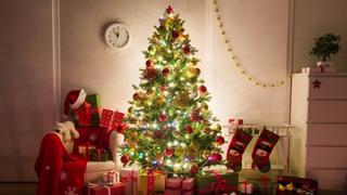 Árbol de Navidad: ¿Qué significado tiene? Conoce aquí su historia y origen