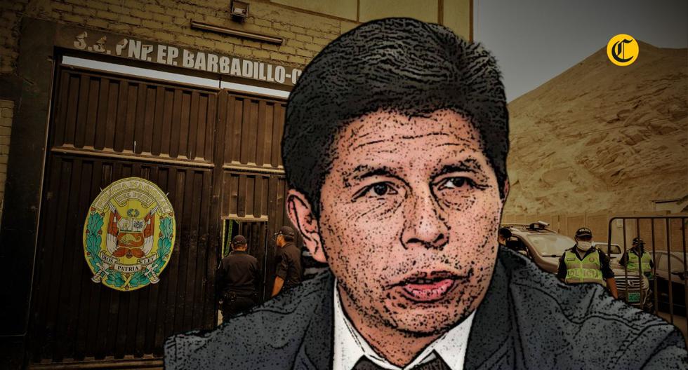 Pedro Castillo ha sido visitado por congresistas en el penal de Barbadillo.