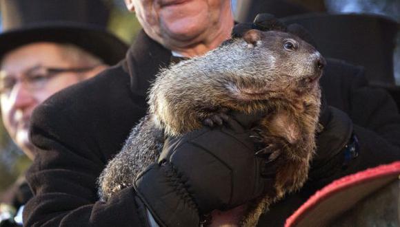 Estados Unidos: La marmota Phil pronostica un corto invierno