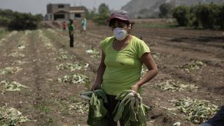 El año del desmantelamiento del país