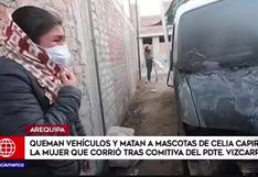Arequipa: Celia Capira sufrió atentado contra sus mascotas y vehículos