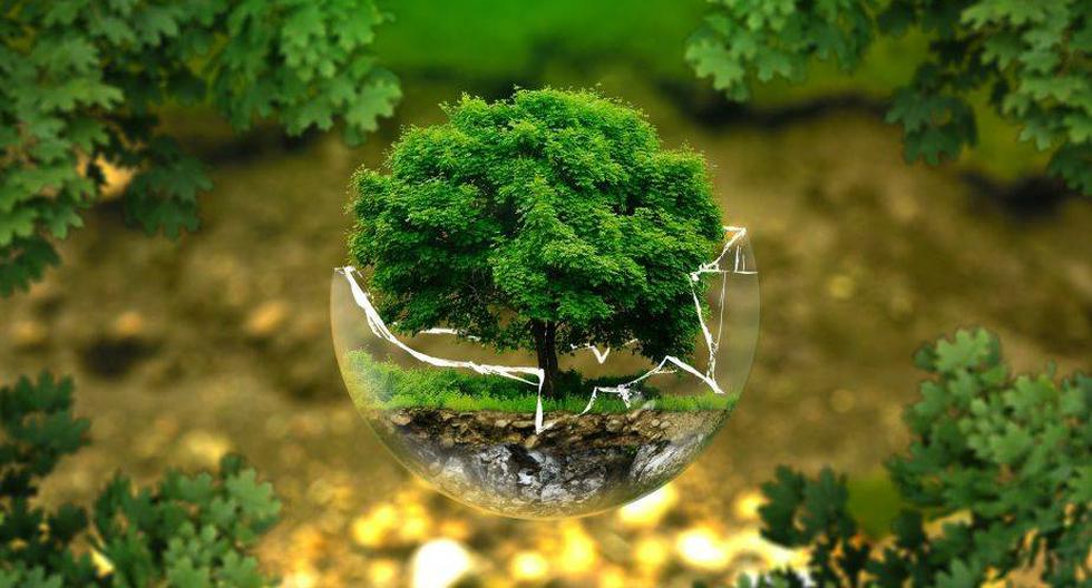 La educación ambiental, la cual es importante porque analiza la conciencia de los problemas ecológicos, económicos y sociales. (Foto: Pixabay)