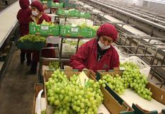Agroexportaciones peruanas a Indonesia crecen 261%, informó Adex
