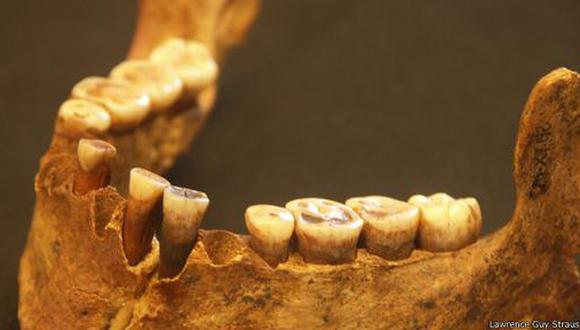 El sarro preservado entre sus dientes muestra que su dieta era rica en carne.