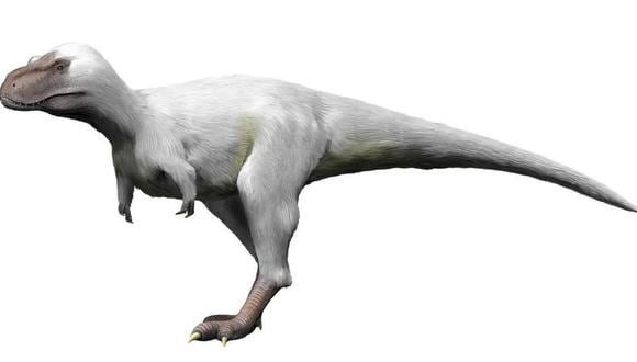 Cómo eran los dinosaurios polares y por qué desafían lo que pensábamos  sobre estos gigantescos animales prehistóricos | Narración | Historias EC |  MUNDO | EL COMERCIO PERÚ