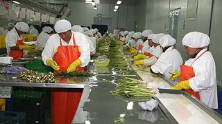 Agroexportaciones peruanas sumaron US$467 millones en enero