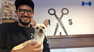 Este Chihuahua adoptado es el peculiar anfitrión de una barbería