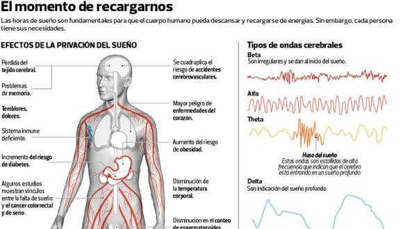 Los genes explican por qué algunos necesitan dormir menos