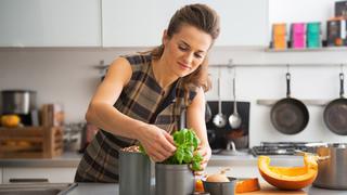 Plantas culinarias: aprende a mantenerlas en casa