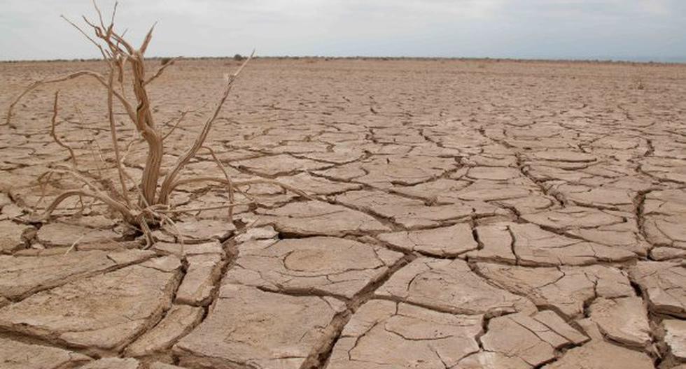 El desierto de Danakil es el lugar más caluroso de la tierra y tiene grandes minas de sal. (Foto: wikipedia)