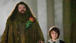 "Harry Potter": osteoartritis impide que el actor Robbie Coltrane vuelva a caminar