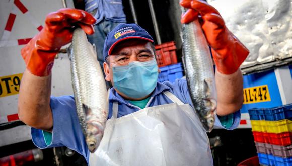 Las infraestructuras pesqueras deben operar con el personal mínimo indispensable. (Foto: Produce)