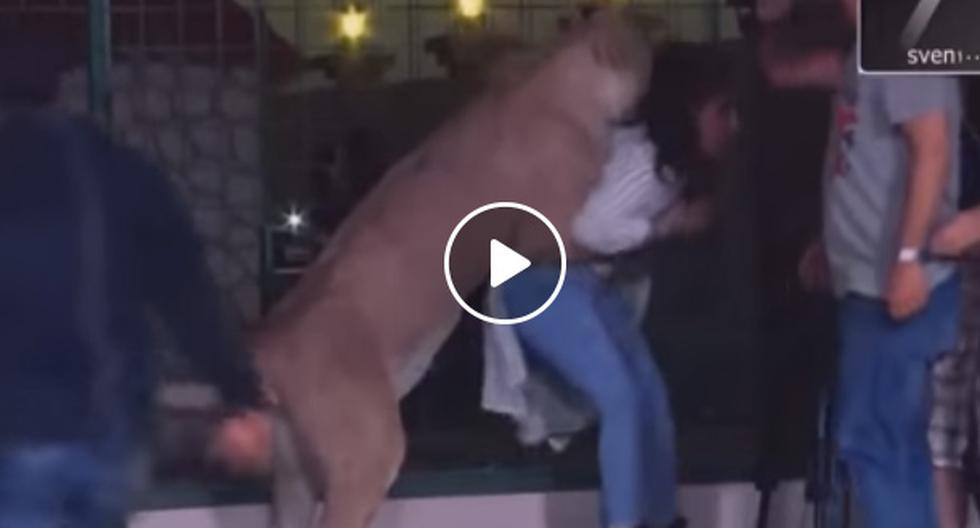YouTube nos muestra el video en el que un león atacó sin dudar a una pobre muchacha que solo estaba reporteando. (Foto: captura)