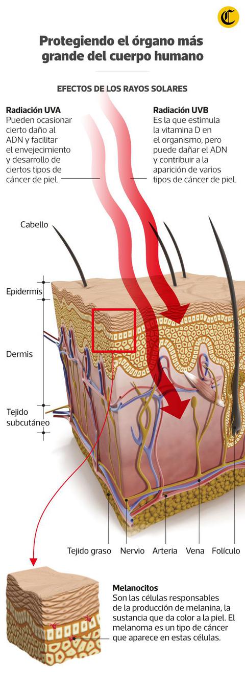 (Infografía: Jean Izquierdo)