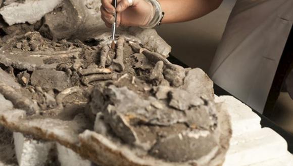 Restos de hace 8.000 años que arrojan indicios de momificación natural guiada (JOSÉ PAULO RUAS)