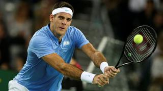 Del Potro venció a Karlovic e igualó la final de la Copa Davis