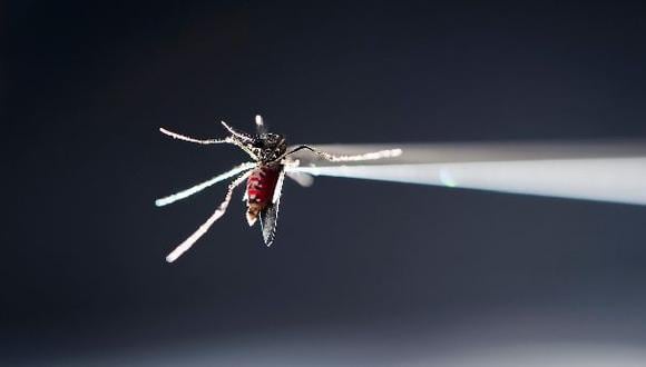 La primera vacuna contra el dengue se comercializará en el país