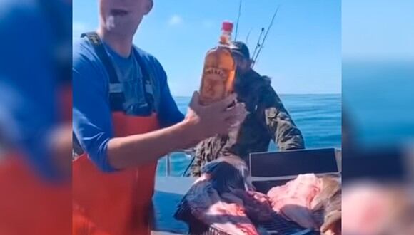 Este pescador encontró una botella de whisky en el estómago de un pescado (Foto: TikTok)