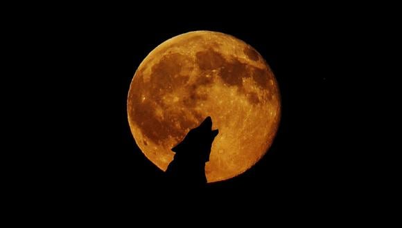 La primera luna llena de 2022 será la 'luna del lobo'. | Foto: Pixabay / Referencial