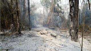 Cusco: extinguen incendio forestal en el distrito de Santiago