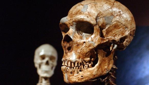 El ADN de neandertal persiste en los seres humanos