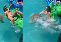 Tortuga arruina el día de relax de una joven en una piscina y usuarios ríen a carcajadas