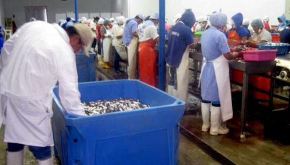 Paita: Plantas desviaron recursos para la harina de pescado
