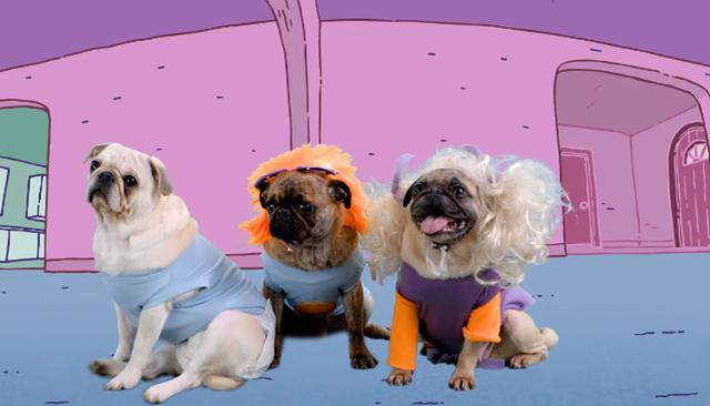 Los pequeños pug llenaron de ternura a todos al protagonizar esta hermosa versión de los 'Rugrats'. (Foto: captura Facebook)